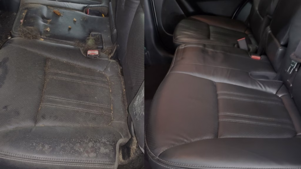 mold removal vs mold remediation in Snohomish County vehicle interior
